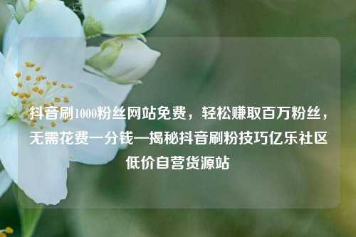 抖音刷1000粉丝网站免费，轻松赚取百万粉丝，无需花费一分钱—揭秘抖音刷粉技巧亿乐社区低价自营货源站  第1张